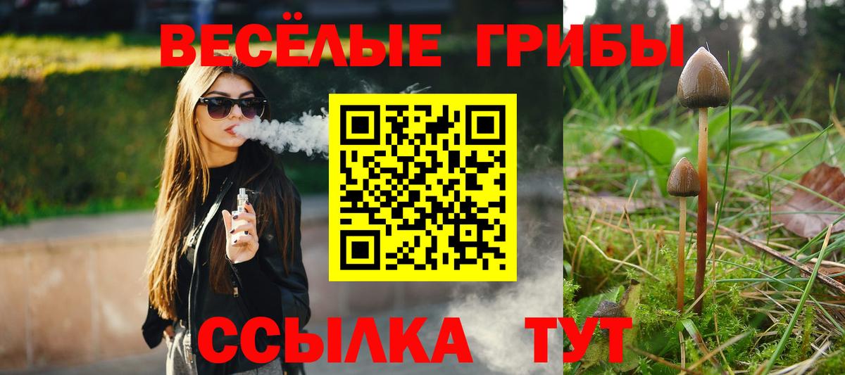 Прохладный  Галлюциногенные грибы GOLDEN TEACHER  Вход с VPN 