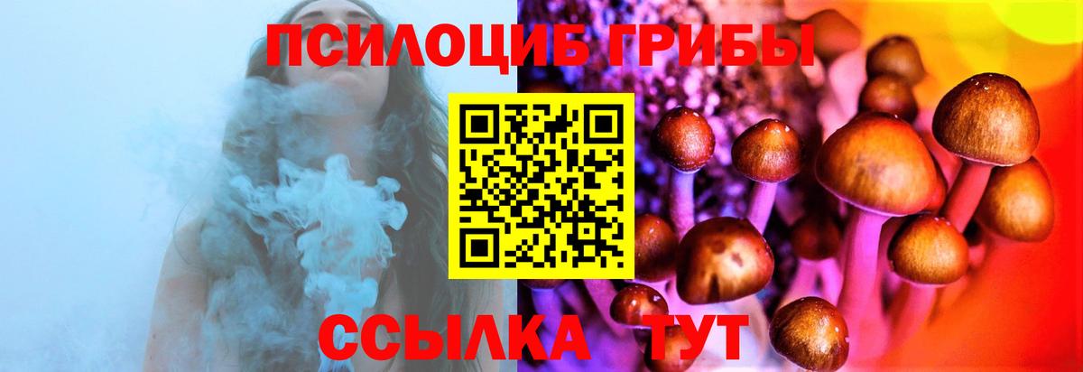 Псилоцибиновые грибы ЛСД Прохладный